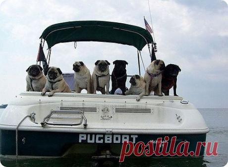 Мой Мир@Mail.Ru