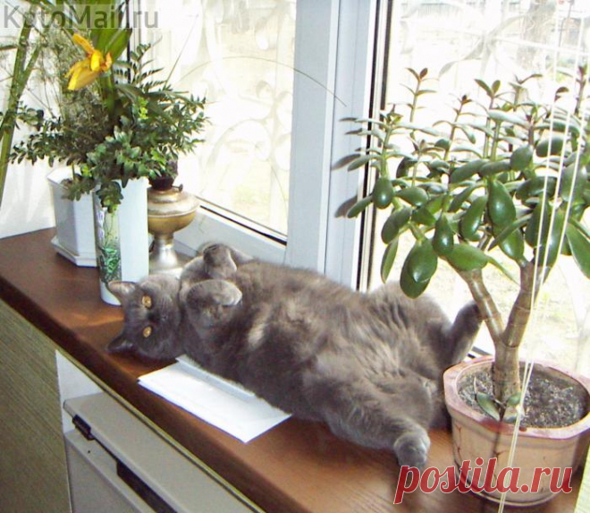 Хорошо там, где есть Я!