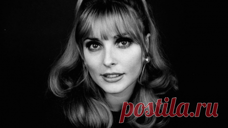 Шэрон Тейт (Sharon Tate)
- 24 января, 1943 • 9 августа 1969