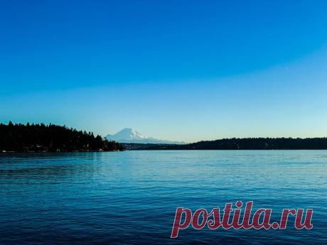 Астрологический прогноз на понедельник, 17 мая 2021 года. День Луны
Сомавара — Понедельник, день Луны . Шукла Пакша, Панчами и Шаштхи — Пятый и шестой день Светлой Луны. Комбинация элементов дня: Вода и Вода — Нектар. Благоприятный день для общения, свиданий, супружеских взаимоотношений, занятий с детьми, ведения домашнего хозяйства и кулинарии, образования и обучения, занятия науками,...
Читай пост далее на сайте. Жми ⏫ссылку выше