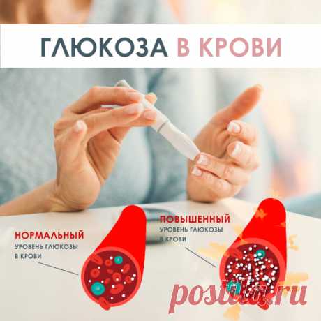 КОГДА И ПРИ КАКИХ ОБСТОЯТЕЛЬСТВАХ МОЖЕТ ВРЕМЕННО ПОДЫМАТЬСЯ САХАР В КРОВИ — Домашние заботы