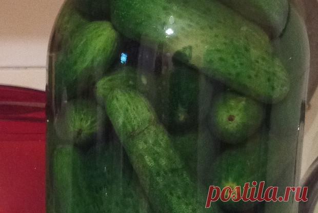 Молосольные огурцы с укропом рецепт – русская кухня: заготовки. «Еда»