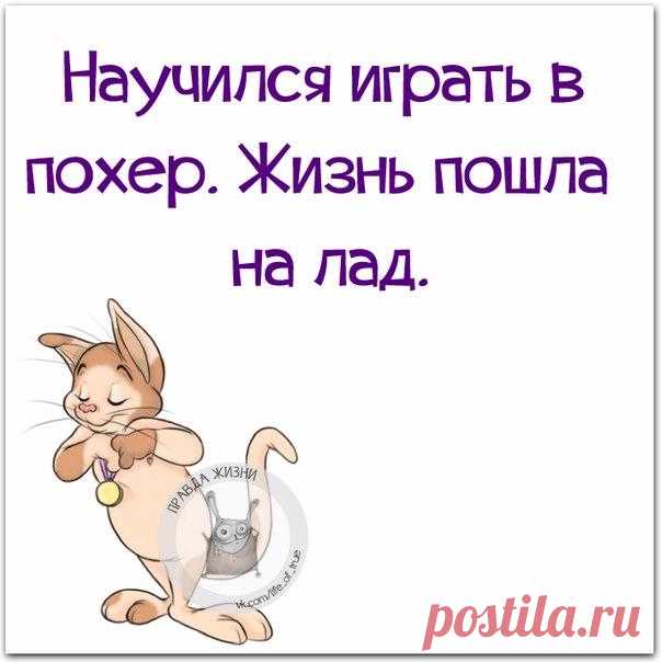 Позитивные фразки в картинках (26.05.2017)
