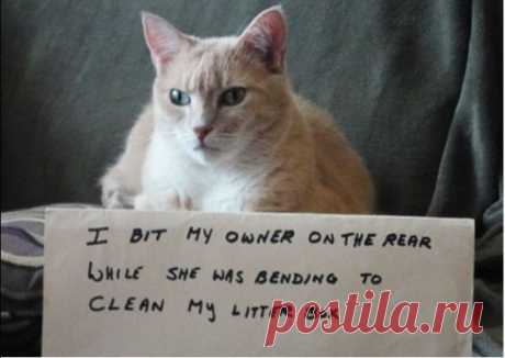 Если человек не верит в себя, как же я могу в него поверить?