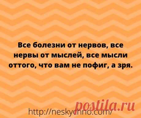 (19) Смешные анекдоты на злобу дня! - Сказка для двоих - медиаплатформа МирТесен