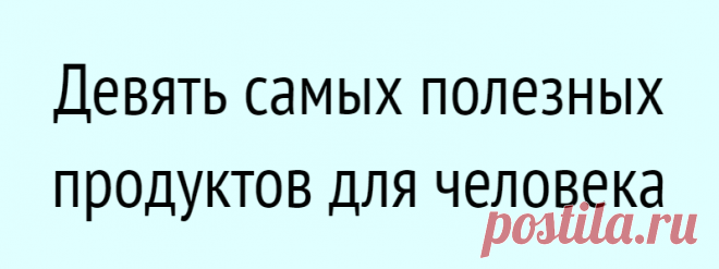 Девять самых полезных продуктов для человека
Любые продукты естественного происхождения содержат наборы витаминов и микроэлементов. В одних таких питательных веществ больше, в других – меньше. Однако существуют в природе продукты-рекордсмены. Содержание полезных микроэлементов в них настолько велико, что при регулярном их употреблении, человек забудет об авитаминозе, упадке сил, слабости и плохом...
Читай дальше на сайте. Жми подробнее ➡