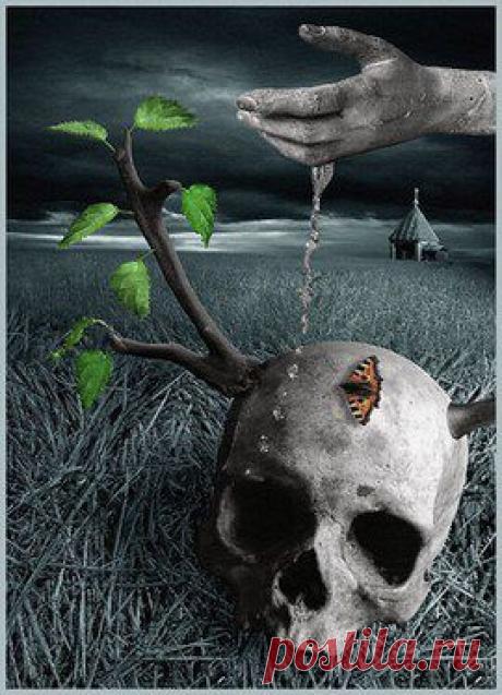 Тайны Тибета. Живая и мёртвая вода..