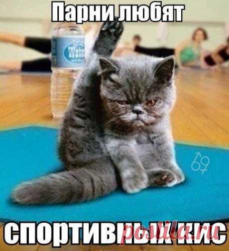 69 оттенков пошлости
