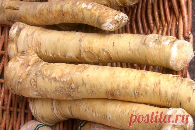 ЧУДО-коктейль для похудения