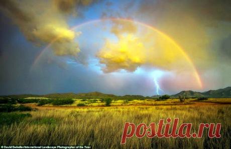 Пейзаж. Природа. Ч.24 – Блог. Run, пользователь Марина Николаева | Группы Мой Мир