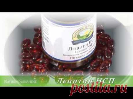 Лецитин в Продуктах Питания - Польза и Вред: Эмульгатор,Соевый,Подсолнечный,Растительный,Натуральный