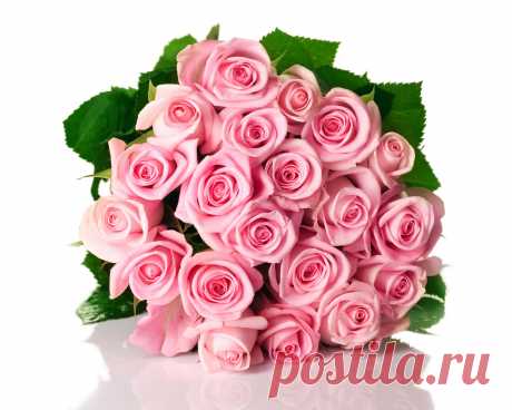 Bouquets_Roses_Many_Pink_385819.jpg (2400×1920)