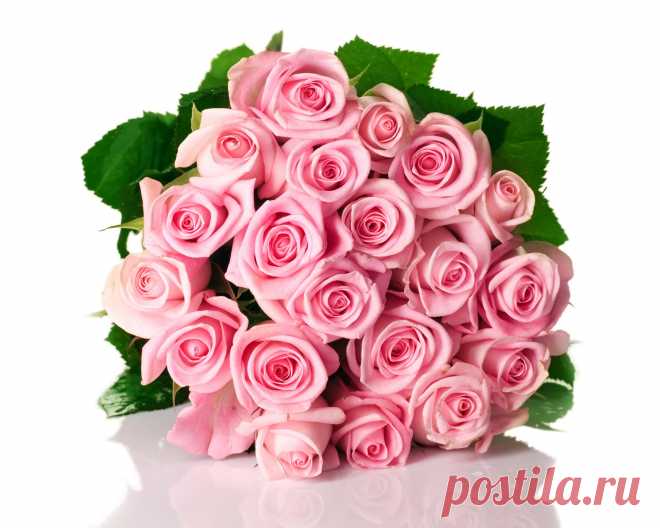 Bouquets_Roses_Many_Pink_385819.jpg (2400×1920)