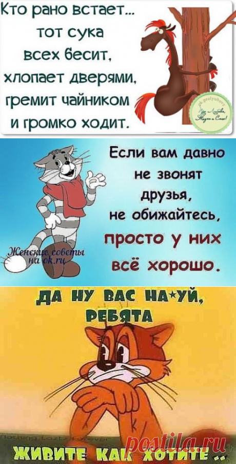 (99) Одноклассники