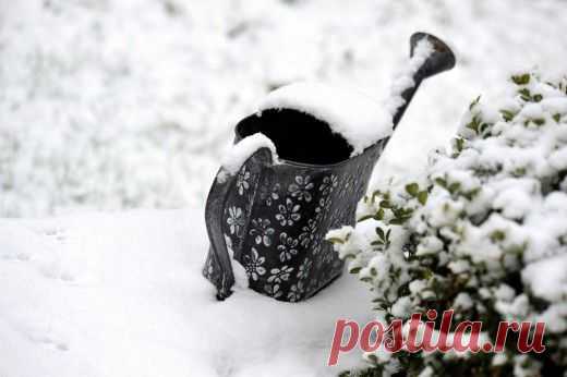 Календарь садово-огородных работ на ноябрь.

Вот и ноябрь! Где-то он укрыл землю устойчивым снежным покровом, а где-то все еще балует дачников относительно теплыми осенними деньками. В связи с такой разницей в погодных условиях в разных климатических зонах для этого месяца сложно рекомендовать точный список работ в саду и огороде. Однако примерный перечень агрономических приемов для конца осени все же существует.
