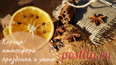 Как украсить дом 🏡  палочками корицы уютно и атмосферно — Смотреть в Эфире Украшаем дом палочками корицы, которые помогут создать атмосферу праздника и уюта. Волшебный аромат корицы наполнит дом https://mywonderfulhome.ru/  …