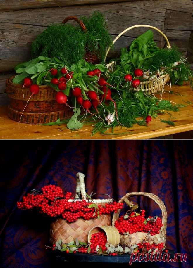 Яндекс.Фотки