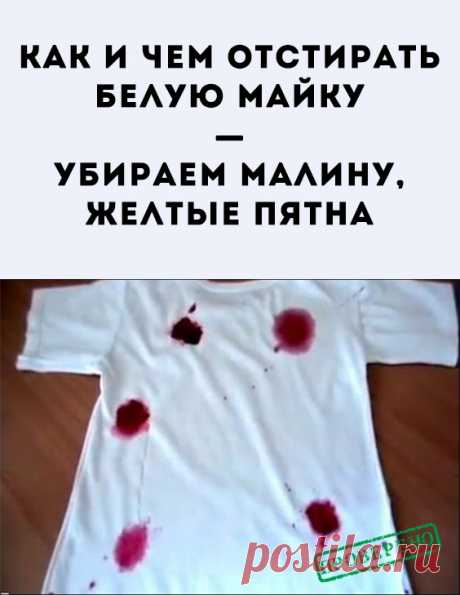 Как удалить пятна от малины. При помощи отбеливателей и пятновыводителей. Средства с содержанием хлора входят в число самых действенных. Для очищения материала отбеливатель аккуратно растворяют в воде. Потом помещают в него вещи.