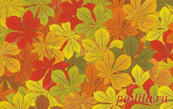 Яндекс.Картинки: поиск похожих картинок