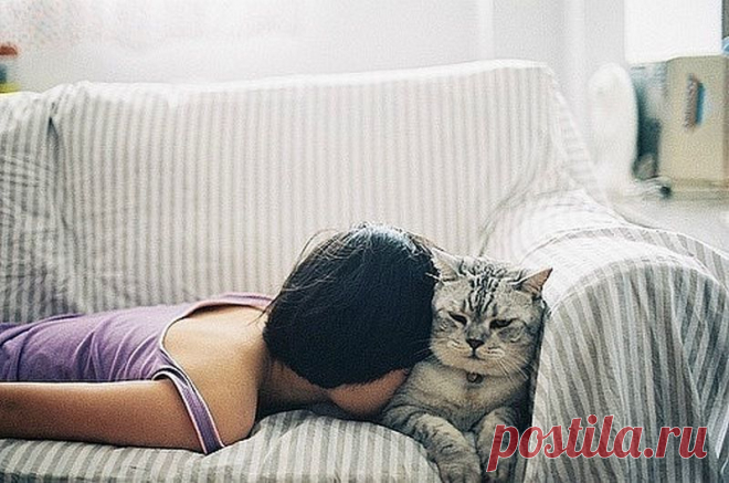 Яндекс.Фотки