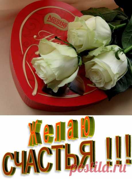 Плейкаст «Я тебя поздравляю!»