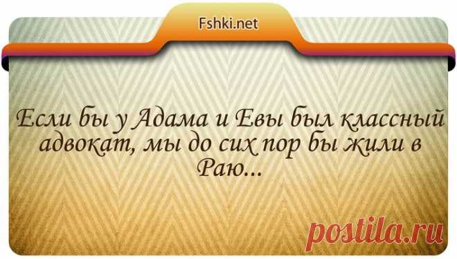 20 цитат в юморе про юристов и законы