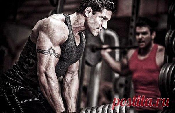 Наши приоритеты -  это фильтры от всего  / Спорт Сильных!