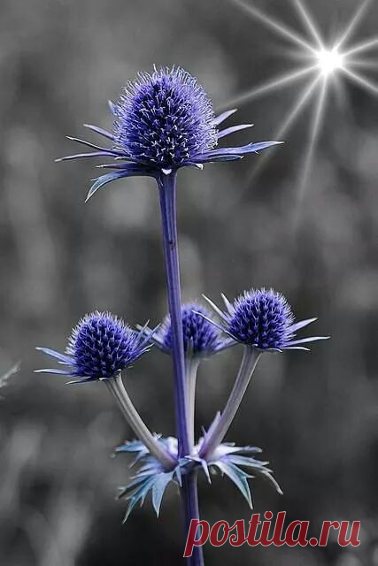 touchn2btouched