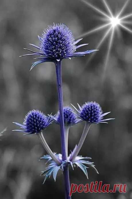 touchn2btouched