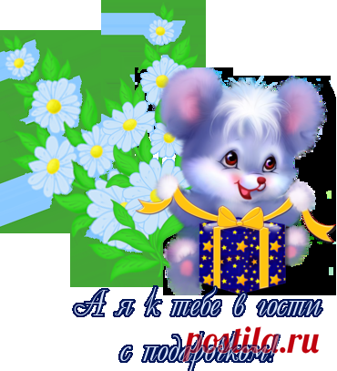 18914646.png (370×407)