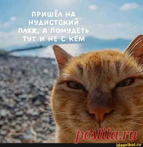 Мы шли с кузиною купаться
на личный наш нудистский пляж.
Непросто до него добраться –
камыш – прекрасный камуфляж.