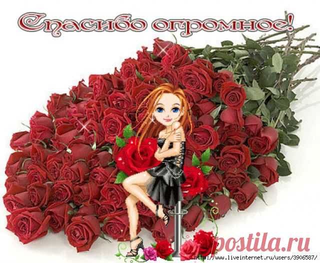 открытка