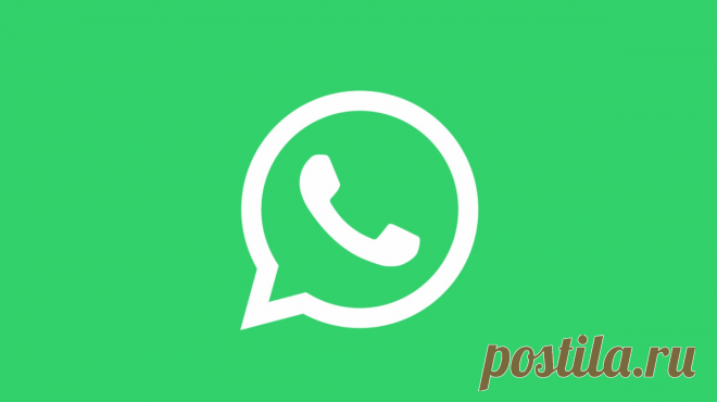 7 полезных «фишек» мессенджера WhatsApp о которых не все знают | Mr.Android — эксперт по гаджетам | Дзен