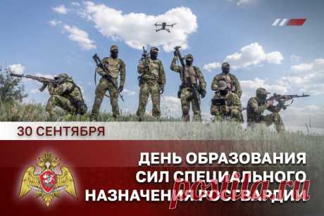 Всех спецназовцев сегодня
Поздравляю от души,
Гордость вы страны огромной,
Вы, ребята, хороши.