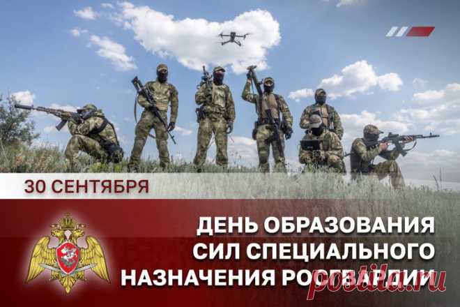 Всех спецназовцев сегодня
Поздравляю от души,
Гордость вы страны огромной,
Вы, ребята, хороши.