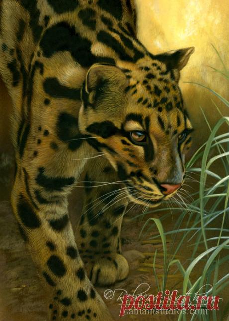 Загляните в студию — 8 января 2013 г. | Картины дикой природы и природы Ребекки Лэтэм