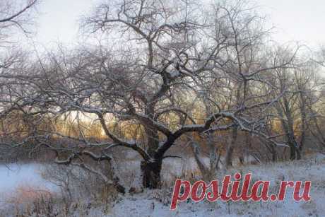 Panoramio - Photos by Аркадий Деев