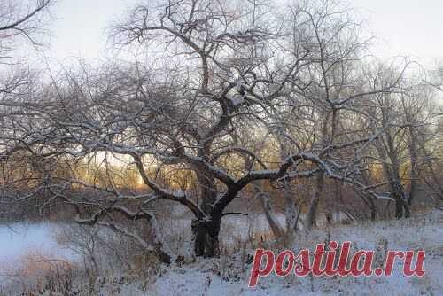 Panoramio - Photos by Аркадий Деев