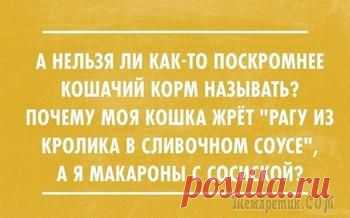 17 забавных историй для отличного настроения. Всё из жизни, как под копирку