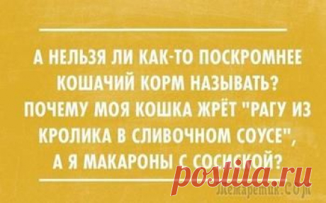 17 забавных историй для отличного настроения. Всё из жизни, как под копирку