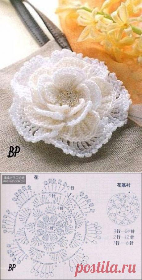 (3) Pinterest