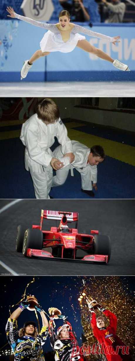 Стрельба из лука, Дайвинг, Рэндзю, Ходьба скандинавская. (1/1) - Спортивный форум. - Спортивный сайт