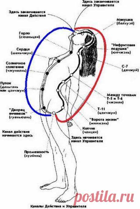(M) Зачем держать язык за зубами или как сохранить энергию? | thePO.ST