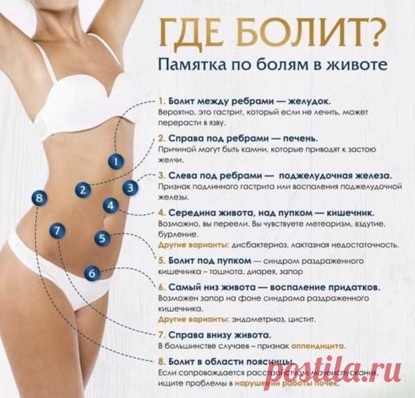 если болит живот – 