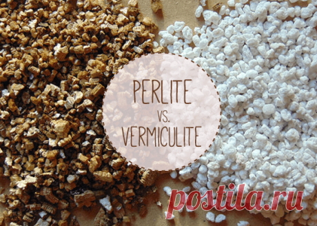 Vermiculite or Perlite? The Definitive Answer - Urban Turnip || If you want to increase the water holding capacity of your potting mix, adding vermiculite is preferable. Perlite is good for improving drainage when it’s used in the right amount (at least 1/3 of the finished mix). Although both perlite and vermiculite work to improve water-retention in dry potting soil, vermiculite is the superior option (assuming that drainage is taken care of). When either perlite or vermiculite are used excl...