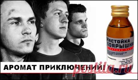 В ДЕНЬ ТРЕЗВОСТИ ИЗ МИНСКИХ АПТЕК ПРОПАЛА НАСТОЙКА БОЯРЫШНИКА https://minskblog-minskblog.blogspot.de/2015/06/blog-post.html