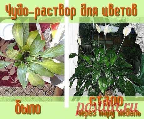 (57) Одноклассники