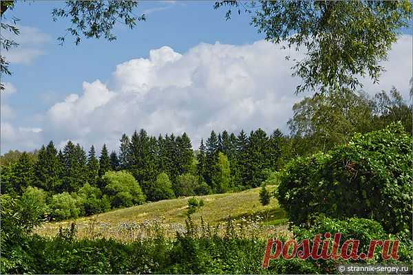 http://nik191.mirtesen.ru/blog/43495023952