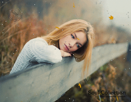 Мои воспоминания любят тебя...
Они постоянно спрашивают о тебе...

Soul Collection