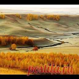 Юрий
